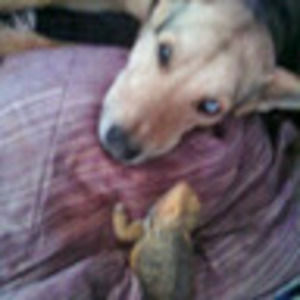 Meet your Posher, Catherine